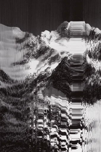 Monochrome Glitch Brutalism style reference image — high-contrast monochrome