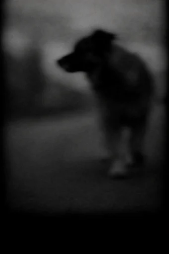 Spectral Pictorial Noir style AI image example 3