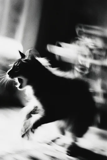 Kinetic Spectral Monochrome style reference image — chiaroscuro lighting