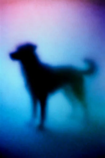 Luminous Spectral Haze style reference image — dreamlike atmospheric haze