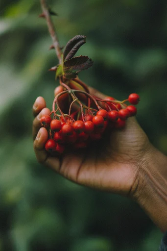 Nostalgic Botanical Surrealism style reference image — heavy 35mm film grain