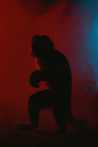 Cinematic Crimson Silhouette style reference image — crimson and teal palette