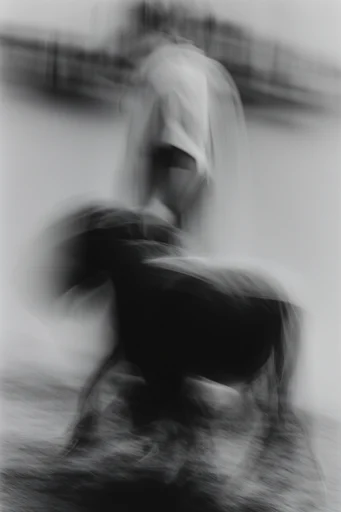 Ethereal Kinetic Monochrome style reference image — shutter drag