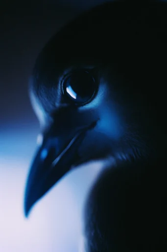 Nocturnal Cyan Surrealism style reference image — cinematic dark atmosphere