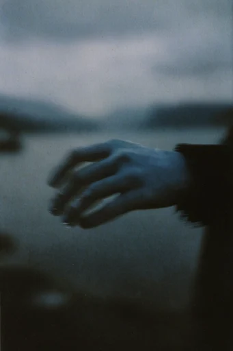 Atmospheric Analog Melancholy style reference image — muted atmospheric tones