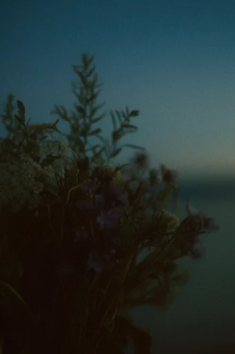 Cinematic Hazy Melancholy style reference image — vintage 35mm aesthetic
