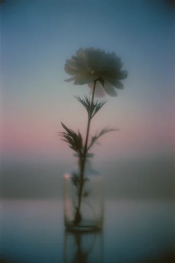 Ethereal Analog Haze style reference image — dreamy analog film
