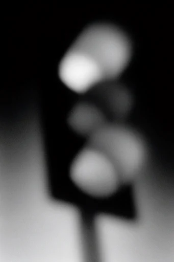 Ethereal Noir Grain style reference image — high-contrast monochrome