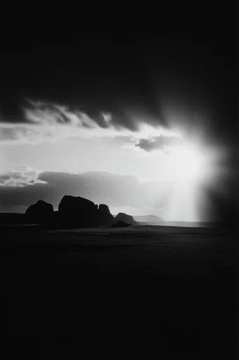 Cinematic Monochrome Noir style reference image — high-contrast monochrome