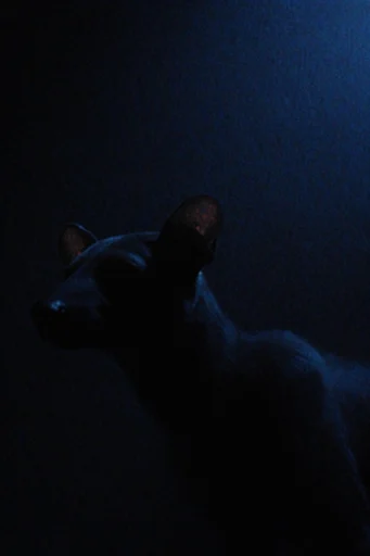 Ethereal Obsidian Noir style AI image example 3