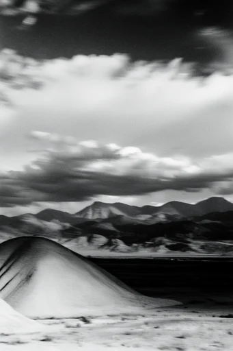 Kinetic Spectral Monochrome style reference image — high-contrast monochrome