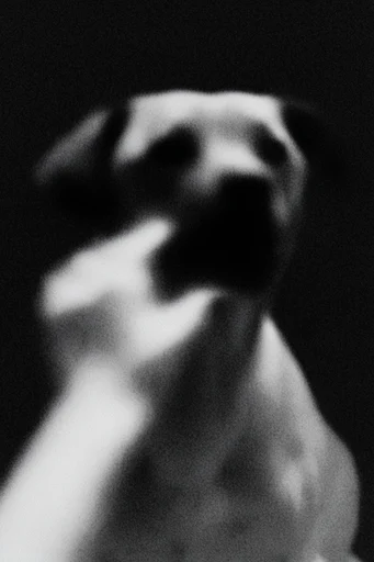 Ethereal Noir Granulation style reference image — chiaroscuro lighting