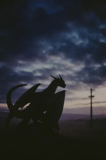 Cinematic Twilight Melancholy style reference image — stark silhouette