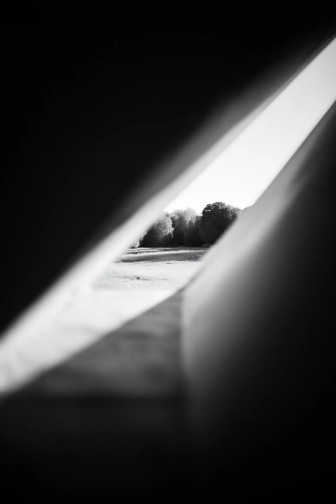 Cinematic Chiaroscuro Noir style AI image example 2