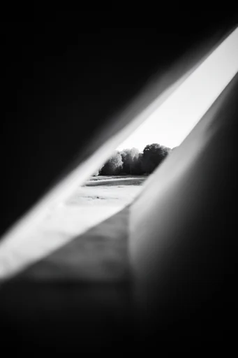 Cinematic Chiaroscuro Noir style AI image example 2