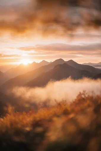Ethereal Autumnal Warmth style reference image — painterly atmosphere