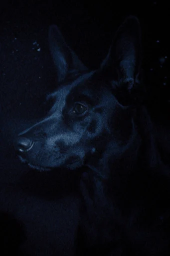 Ethereal Obsidian Noir style reference image — deep indigo and monochrome