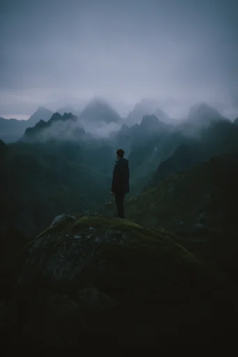 Ethereal Verdant Solitude style reference image — heavy atmospheric fog