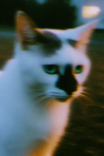 Ethereal Analog Nostalgia style reference image — lo-fi dreamcore