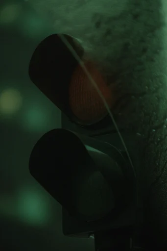 Cinematic Nocturnal Noir style reference image — low-key chiaroscuro lighting