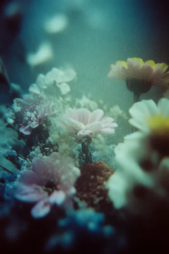 Ethereal Abyssal Melancholy style reference image — soft focus
