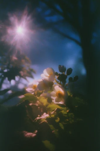 Ethereal Twilight Nostalgia style reference image — dreamy vintage atmosphere