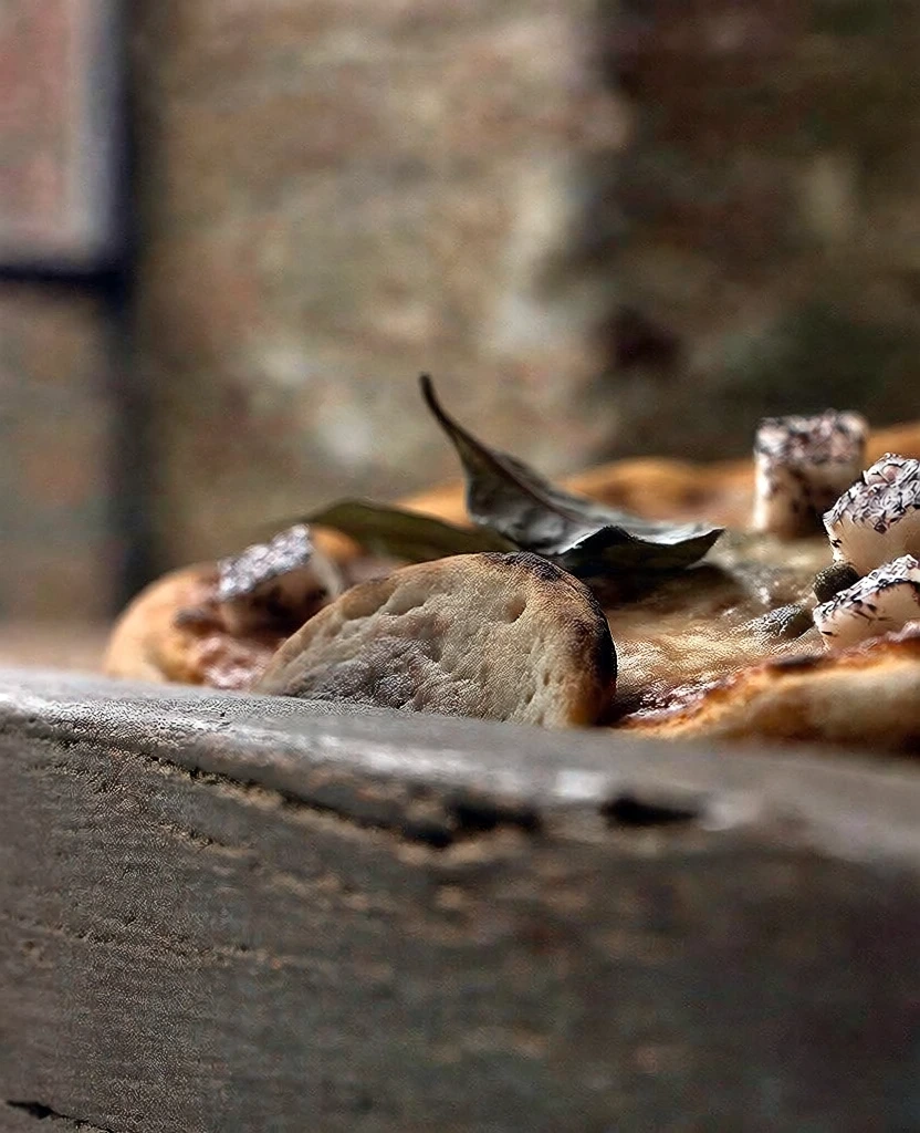 cinematic low-angle macro shot, gourmet pizza peeking over a textured dark wooden ledge, featuring round slices, small cubes, and leaves, centered composition, soft natural diffused lighting with warm golden tones, extreme shallow depth of field, background showing industrial brick walls and windows, tactile organic textures, professional food styling, earthy and muted color palette, intimate and whimsical atmosphere, high-end commercial aesthetic.