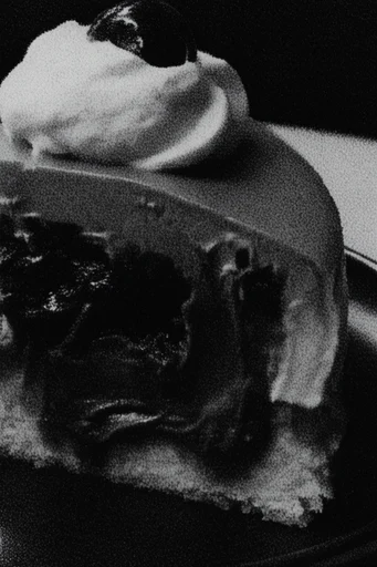 Gritty Monochromatic Noir style reference image — raw zine aesthetic