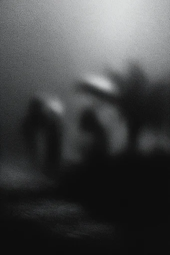 Gritty Monochrome Noir style reference image — heavy film grain