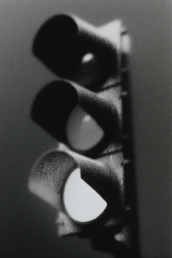 Stippled Noir Grain style reference image — intense film grain
