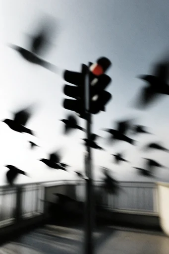 Spectral Kinetic Noir style reference image — high-contrast black and white