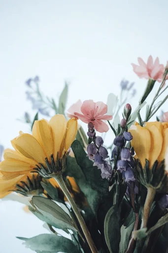 Raw Nostalgic Editorial style reference image — raw studio setting