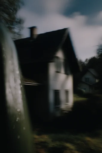 Nocturnal Cinematic Blur style reference image — low-key moody lighting