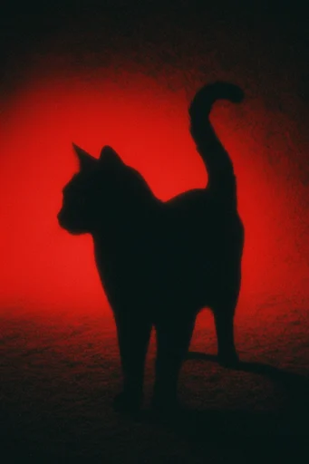 Cinematic Crimson Noir style reference image — darkly romantic atmosphere