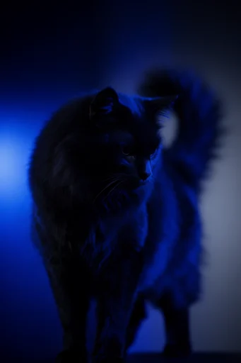 Cinematic Cobalt Noir style reference image — cinematic noir lighting