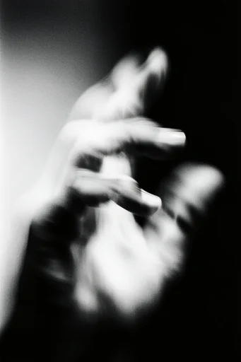 Kinetic Noir Realism style reference image — extreme motion blur