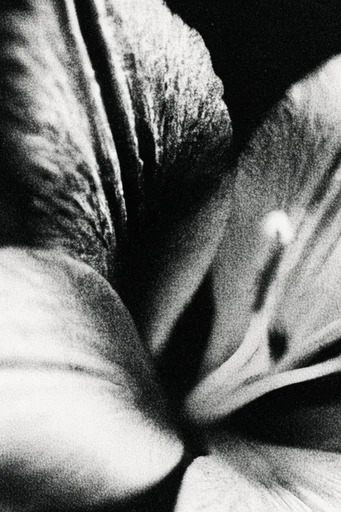 Raw Noir Atmospheric style reference image — disturbing psychological tension