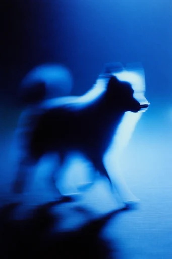 Spectral Cobalt Motion style reference image — heavy film grain