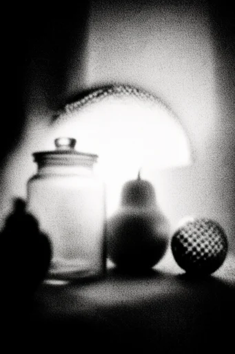 Gritty Monochromatic Noir style reference image — high contrast monochrome