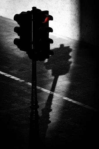Monochrome Glitch Noir style reference image — heavy film grain
