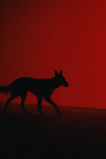 Cinematic Crimson Noir style reference image — vintage 35mm aesthetic