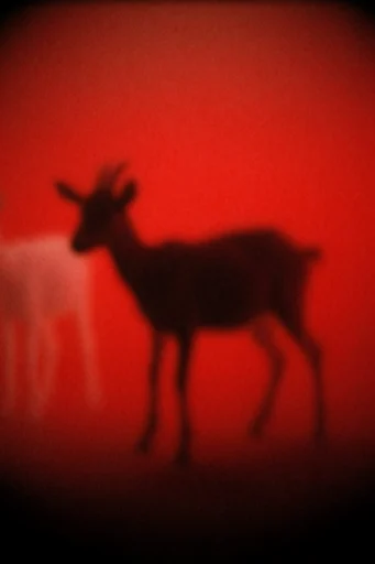 Crimson Spectral Noir style reference image — motion blur