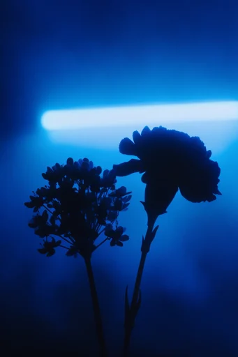 Cinematic Ultramarine Noir style reference image — volumetric lighting