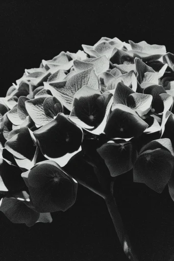 Cinematic Chiaroscuro Noir style reference image — intricate texture