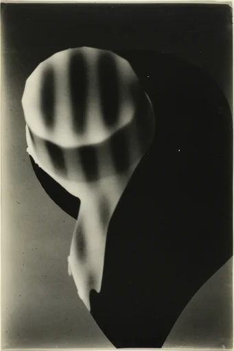 Avant-Garde Darkroom Noir style reference image — halftone texture