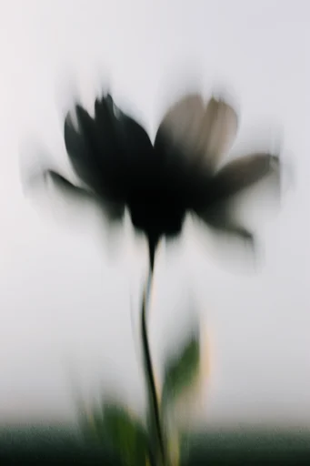 Ethereal Kinetic Minimalism style reference image — dreamlike diffusion