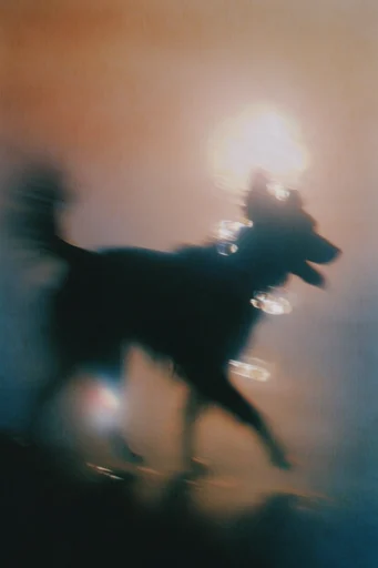 Ethereal Analog Nostalgia style reference image — dreamy halation