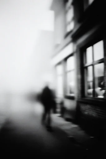 Ethereal Monochrome Noir style reference image — high-contrast monochrome
