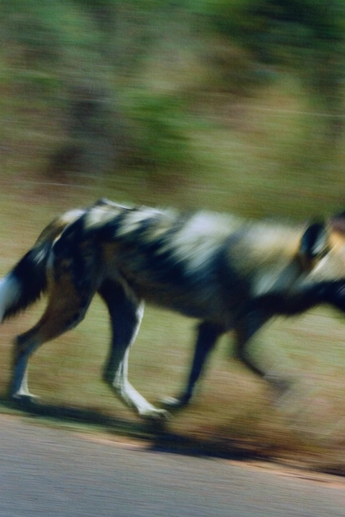 Kinetic Cinematic Nostalgia style AI image example 3