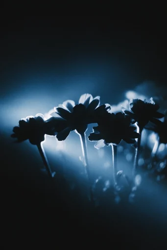 Luminous Abyssal Noir style reference image — ethereal silhouettes